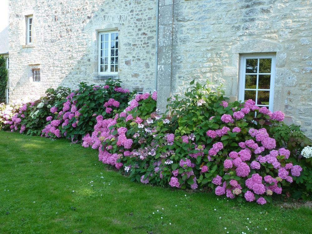 Manoir De Savigny Bed & Breakfast Valognes Luaran gambar